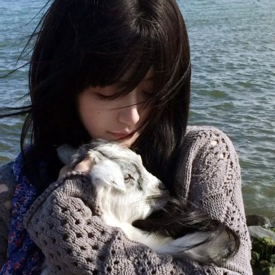 朱门玉碎海报